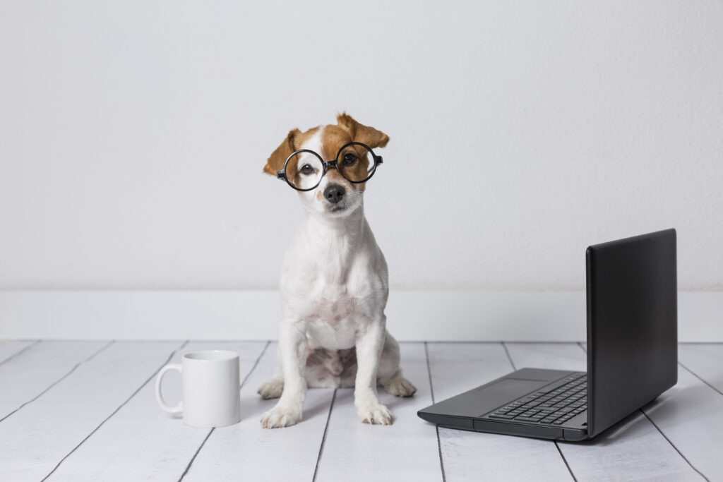 Should I Start a Company Blog - Small Terrier in Glasses next to coffee mug and laptop